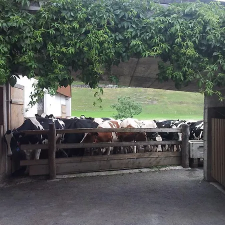 Çiftlik konaklama Zieferhof *